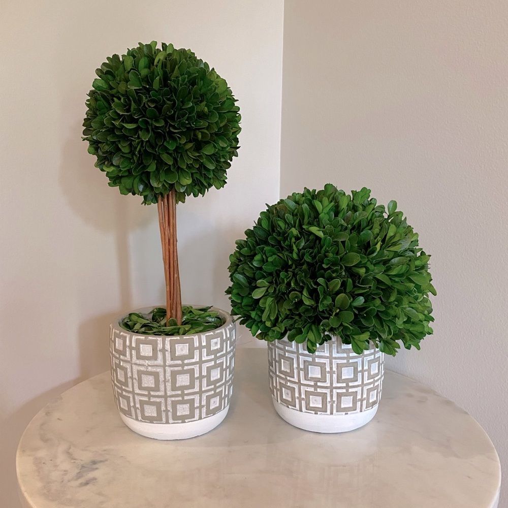 Topiary Decor